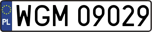 WGM09029