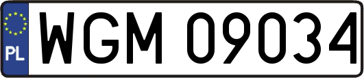 WGM09034