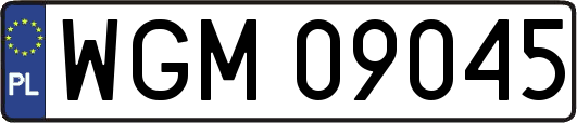 WGM09045