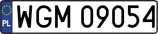 WGM09054