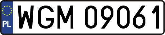 WGM09061