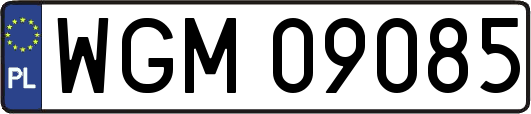 WGM09085