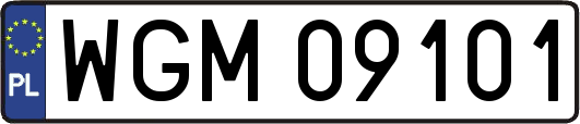 WGM09101