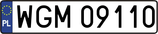 WGM09110