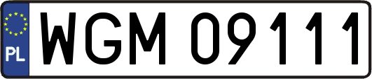 WGM09111