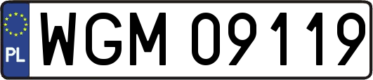 WGM09119