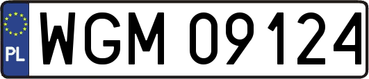 WGM09124