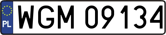 WGM09134