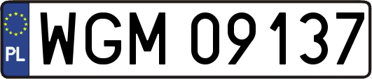 WGM09137