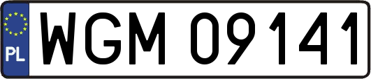WGM09141