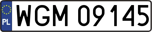 WGM09145