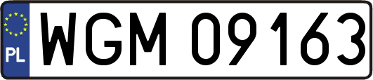 WGM09163