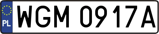 WGM0917A