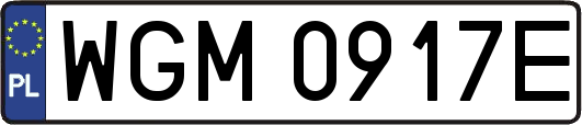 WGM0917E