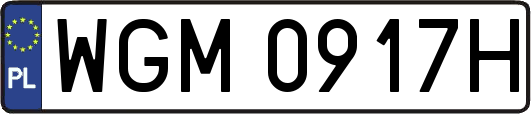 WGM0917H