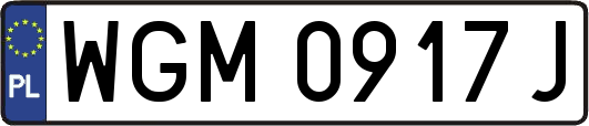 WGM0917J