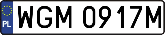 WGM0917M