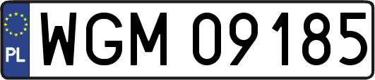 WGM09185