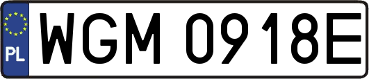 WGM0918E