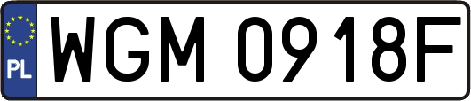 WGM0918F