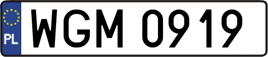 WGM0919