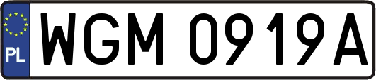 WGM0919A