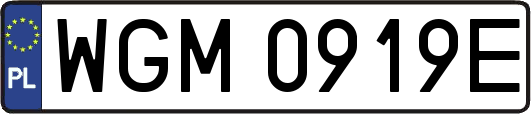 WGM0919E