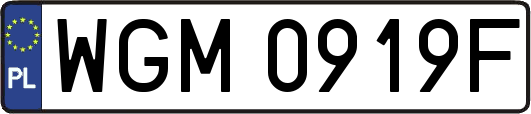 WGM0919F