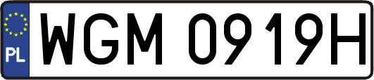 WGM0919H