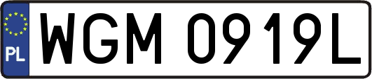 WGM0919L