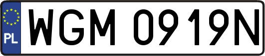 WGM0919N