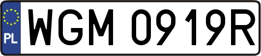 WGM0919R