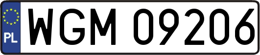 WGM09206