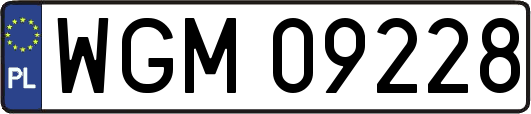 WGM09228