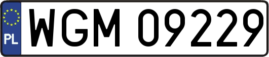 WGM09229