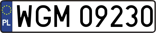 WGM09230