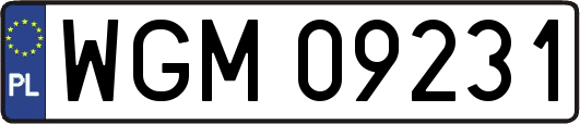 WGM09231
