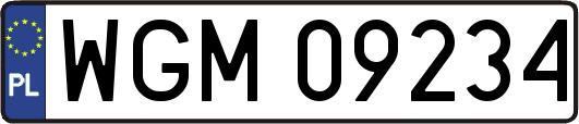 WGM09234