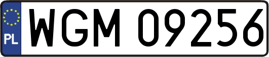 WGM09256