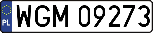 WGM09273