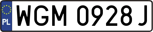 WGM0928J