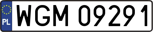 WGM09291