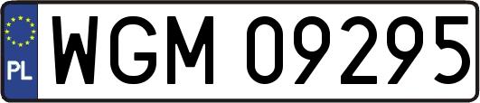 WGM09295