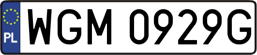 WGM0929G