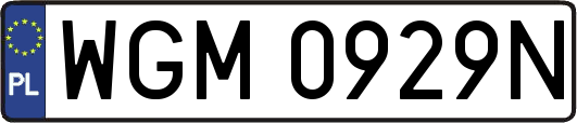 WGM0929N