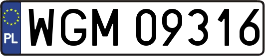 WGM09316