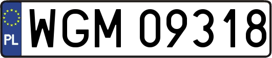 WGM09318