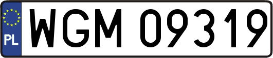 WGM09319