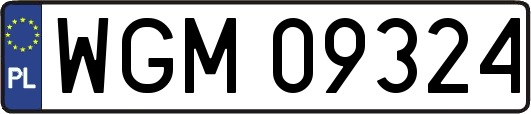 WGM09324