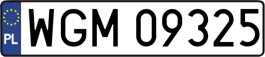 WGM09325